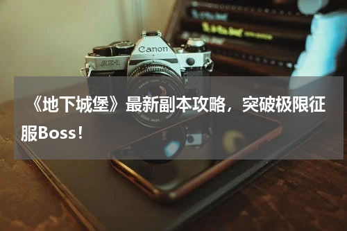 《地下城堡》最新副本攻略,突破极限征服Boss!