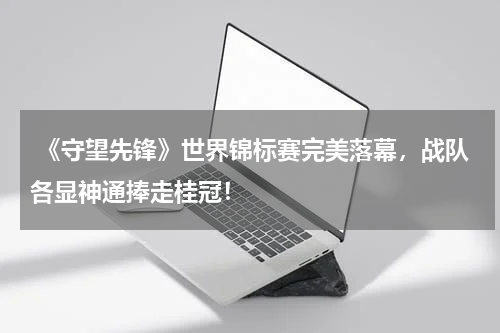 《守望先锋》世界锦标赛完美落幕,战队各显神通捧走桂冠!