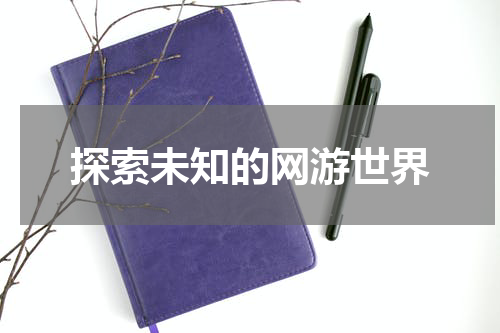 探索未知的网游世界