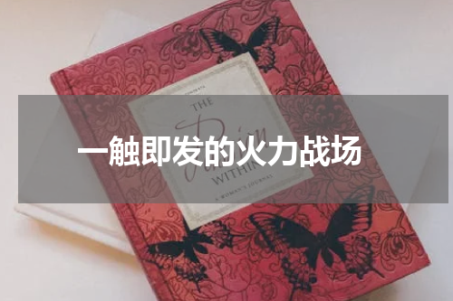 一触即发的火力战场