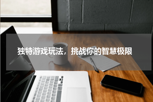  独特游戏玩法，挑战你的智慧极限