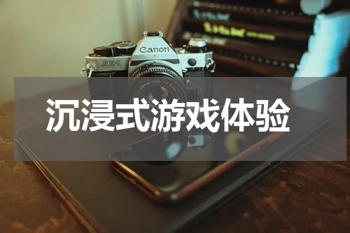 沉浸式游戏体验