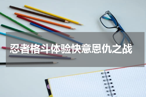 忍者格斗体验快意恩仇之战