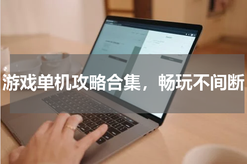 游戏单机攻略合集,畅玩不间断