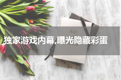 独家游戏内幕,曝光隐藏彩蛋