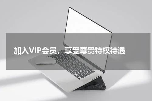 加入VIP会员,享受尊贵特权待遇