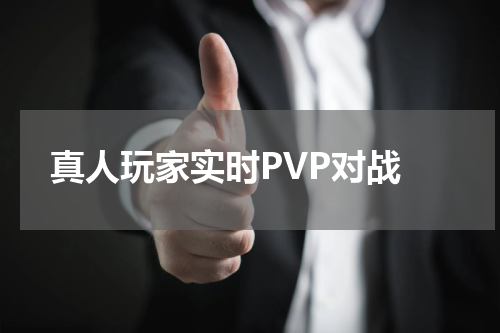 真人玩家实时PVP对战