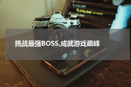  挑战最强BOSS,成就游戏巅峰