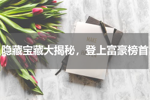 隐藏宝藏大揭秘，登上富豪榜首