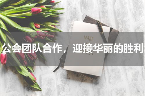 公会团队合作，迎接华丽的胜利
