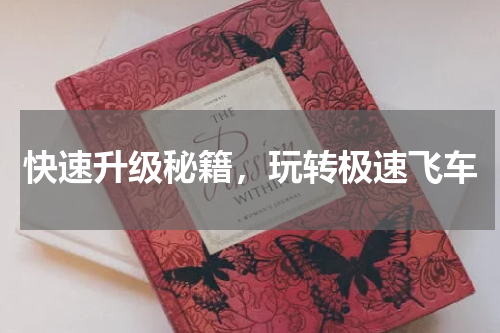 快速升级秘籍，玩转极速飞车