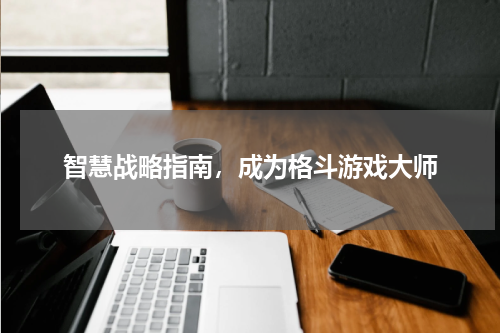 智慧战略指南，成为格斗游戏大师