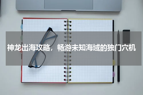 神龙出海攻略，畅游未知海域的独门穴机