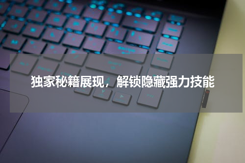 独家秘籍展现，解锁隐藏强力技能