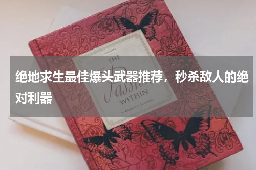 绝地求生最佳爆头武器推荐，秒杀敌人的绝对利器