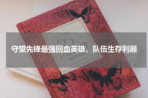 守望先锋最强回血英雄，队伍生存利器