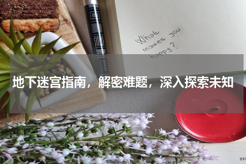 地下迷宫指南，解密难题，深入探索未知