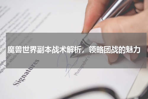 魔兽世界副本战术解析，领略团战的魅力