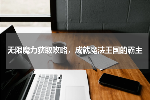 无限魔力获取攻略，成就魔法王国的霸主