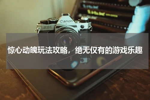 惊心动魄玩法攻略，绝无仅有的游戏乐趣