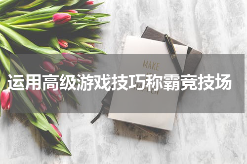  运用高级游戏技巧称霸竞技场