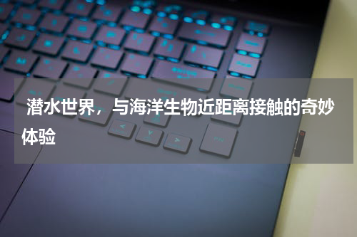  潜水世界，与海洋生物近距离接触的奇妙体验