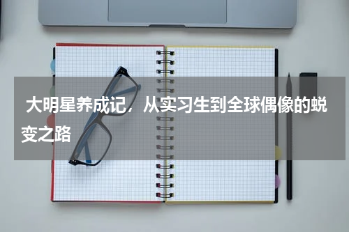  大明星养成记，从实习生到全球偶像的蜕变之路
