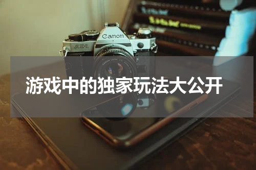  游戏中的独家玩法大公开
