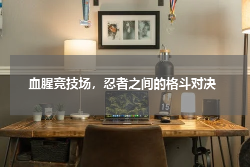  血腥竞技场，忍者之间的格斗对决