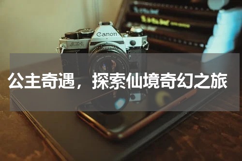 公主奇遇,探索仙境奇幻之旅