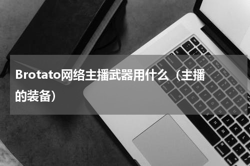Brotato网络主播武器用什么(主播的装备)