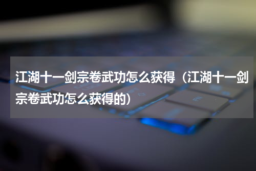 江湖十一剑宗卷武功怎么获得（江湖十一剑宗卷武功怎么获得的）