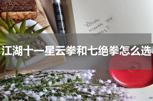 江湖十一星云拳和七绝拳怎么选