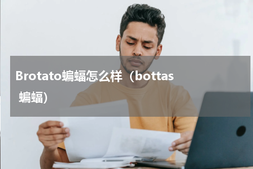 Brotato蝙蝠怎么样(bottas 蝙蝠)