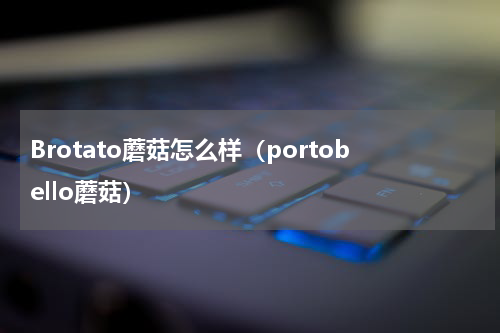 Brotato蘑菇怎么样（portobello蘑菇）