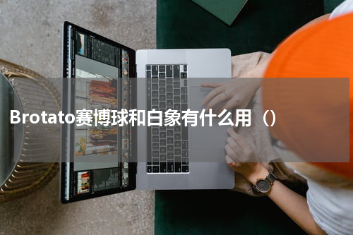 Brotato赛博球和白象有什么用（）
