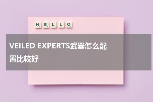 VEILED EXPERTS武器怎么配置比较好
