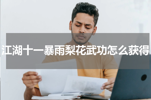 江湖十一暴雨梨花武功怎么获得