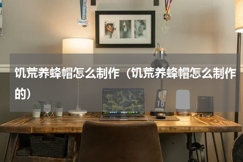 饥荒养蜂帽怎么制作(饥荒养蜂帽怎么制作的)