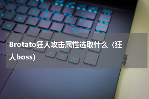 Brotato狂人攻击属性选取什么（狂人boss）