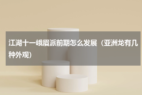 江湖十一峨眉派前期怎么发展（亚洲龙有几种外观）
