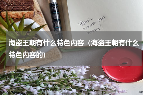 海盗王朝有什么特色内容(海盗王朝有什么特色内容的)