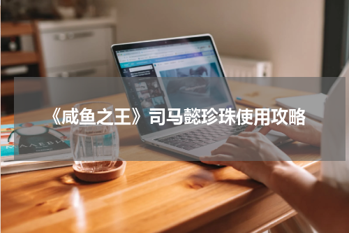 《咸鱼之王》司马懿珍珠使用攻略