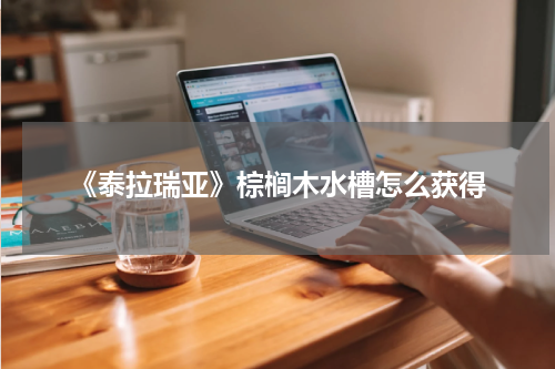 《泰拉瑞亚》棕榈木水槽怎么获得