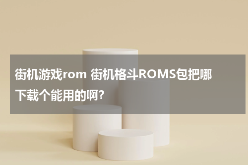 街机游戏rom 街机格斗ROMS包把哪下载个能用的啊?