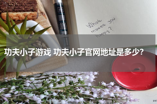 功夫小子游戏 功夫小子官网地址是多少?