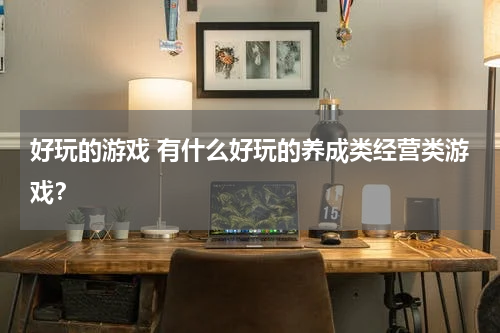 好玩的游戏 有什么好玩的养成类经营类游戏？