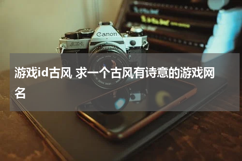 游戏id古风 求一个古风有诗意的游戏网名