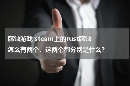 腐蚀游戏 steam上的rust腐蚀 怎么有两个，这两个都分别是什么？