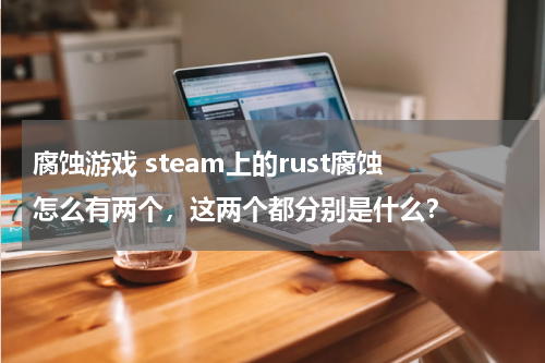 腐蚀游戏 steam上的rust腐蚀 怎么有两个，这两个都分别是什么？